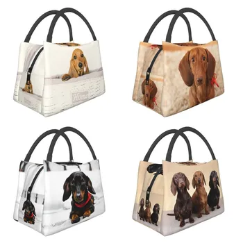 Сладко чанта за обяд с изолация от кучета порода дакел за жени, колбасная кренвирш, барсучьи кучета, преносими термоохладитель, кутия за Bento, работа, пътуване