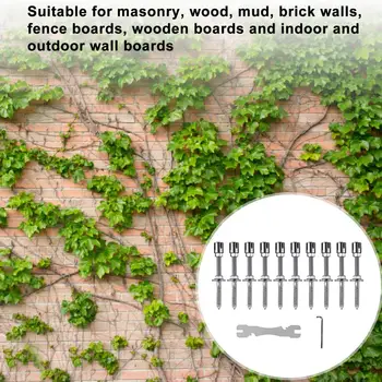 Катерене Въже за Стени Комплект за Катерене Растения от Неръждаема Стомана за Градината Гъвкави Стенни Тел Решетчатая Система с Метални Тросами
